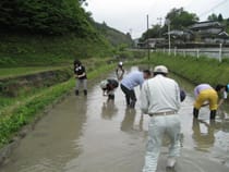 美味しい水から美味しいお米を作る