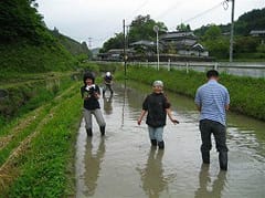 田植えの風景