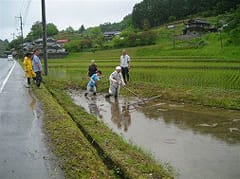 田植えの風景