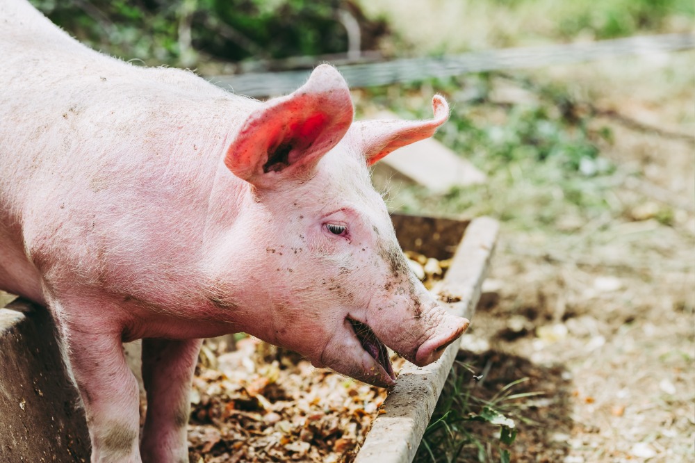 食品リサイクル・飼料化工場「神石エコファーム」