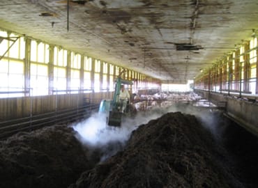 豚舎の敷床を撹拌すると大変な蒸気が発生する。